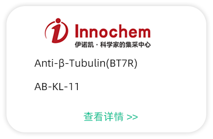 抗體產(chǎn)品6