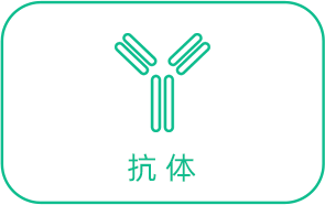 抗體