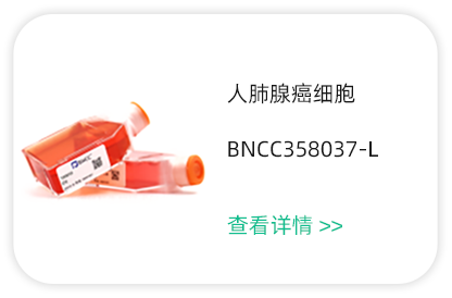 細(xì)胞培養(yǎng)產(chǎn)品5