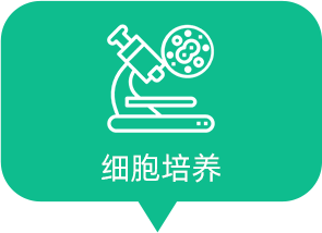 細(xì)胞培養(yǎng)
