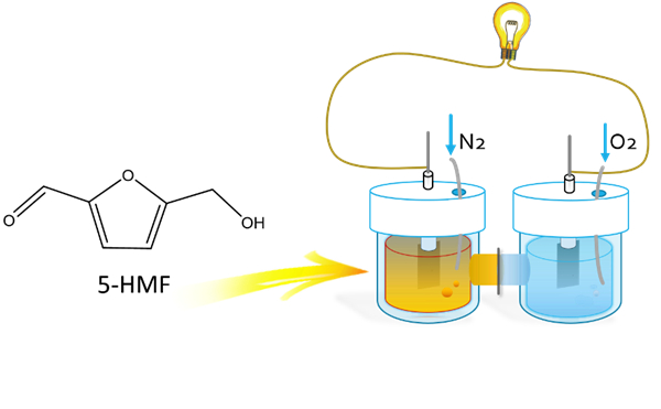 直接5-羥甲基糠醛燃料電池裝置示意圖
