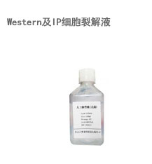 1F-科研试剂-分子生物6