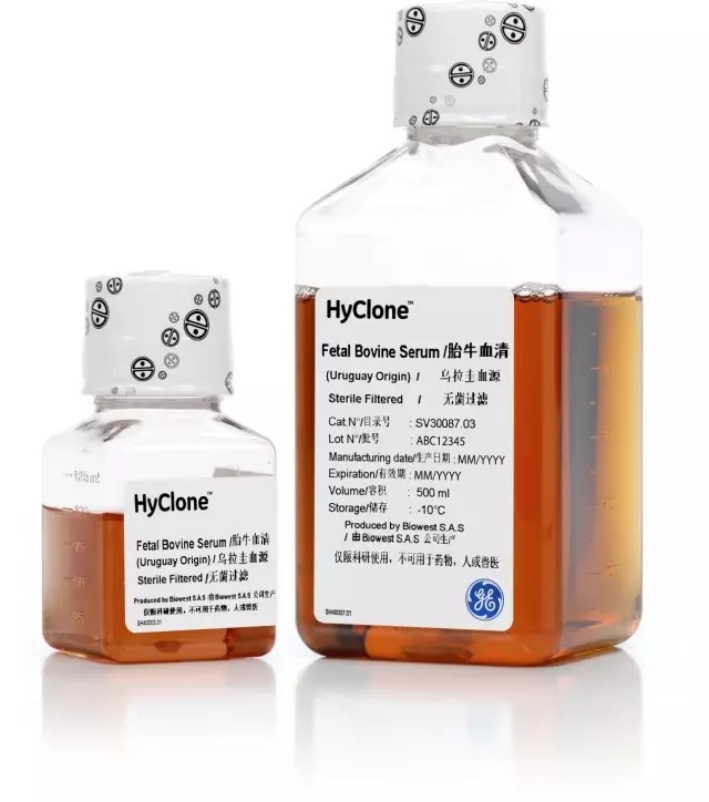 胎牛血清,研究级,产地乌拉圭,原装进口,血清季度性价格询价