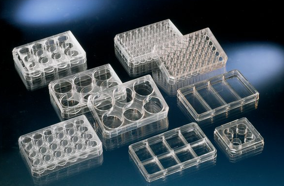 nunc多孔细胞培养板,聚苯乙烯,带盖,已灭菌,孔数,24,建议工作容量,1ml