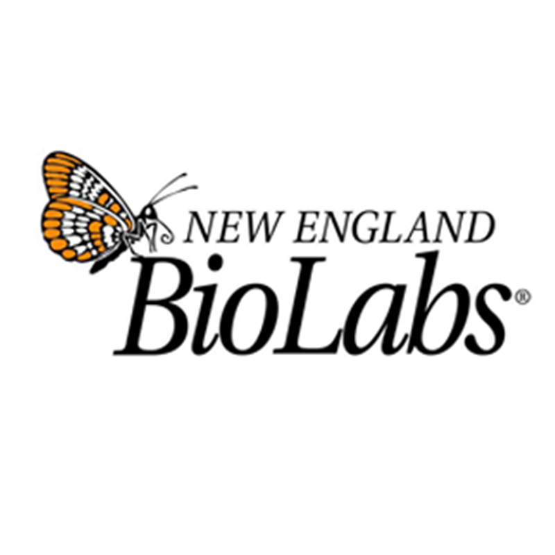 salt-t4 dna ligase, 100,000 units