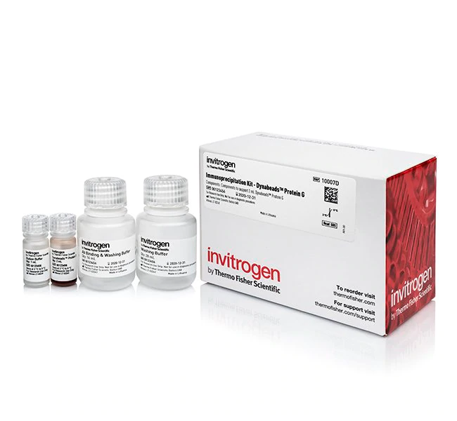 dynabeads protein g immunoprecipitation kit蛋白g免疫沉淀试剂盒