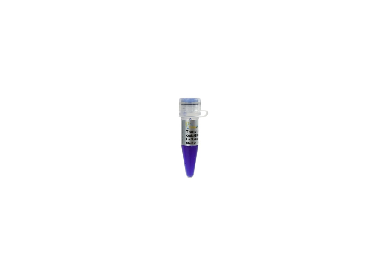 Trans15K DNA Marker