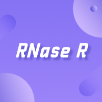 Ribonuclease R（RNase R)