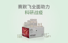 首页小轮切-英潍捷基（上海）贸易有限公司