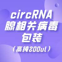 circRNA 腺相关病毒包装（高纯200ul）