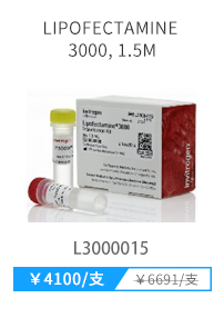 4/30今日必抢-北京现货库