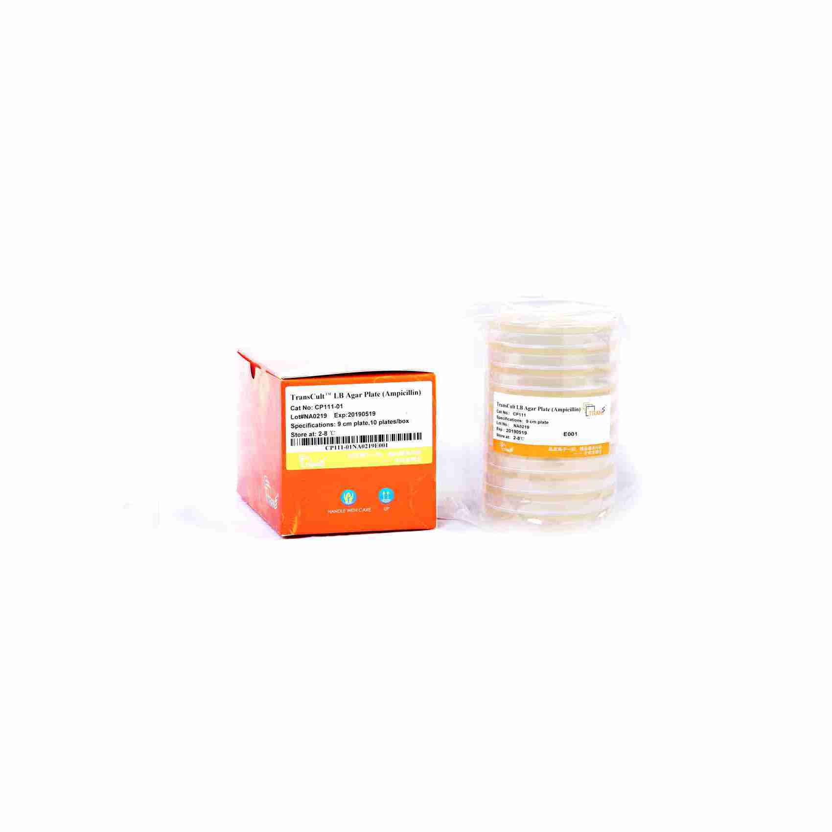 TransCult LB Agar Plate (Ampicillin)