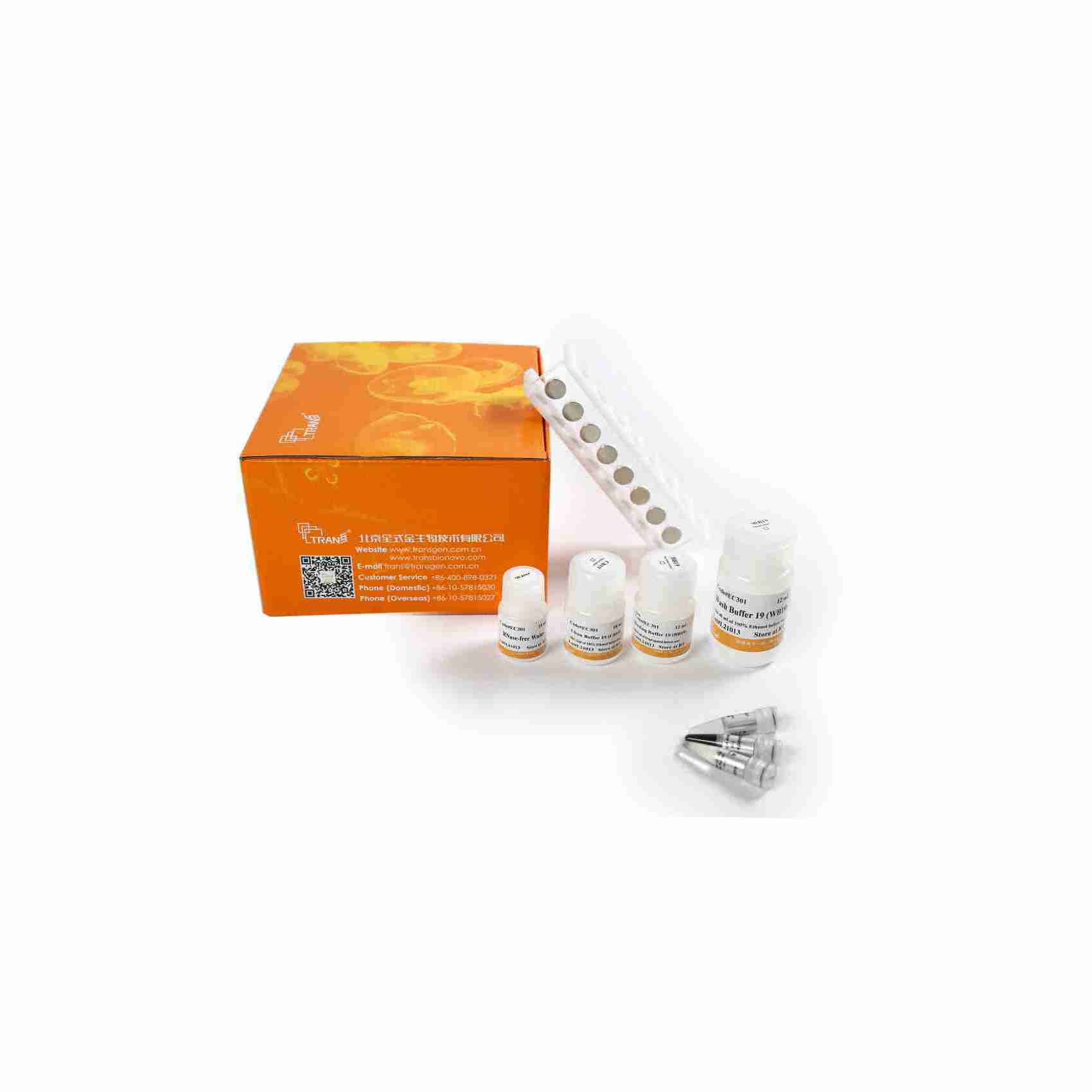 2×TransStart KD Plus PCR SuperMix