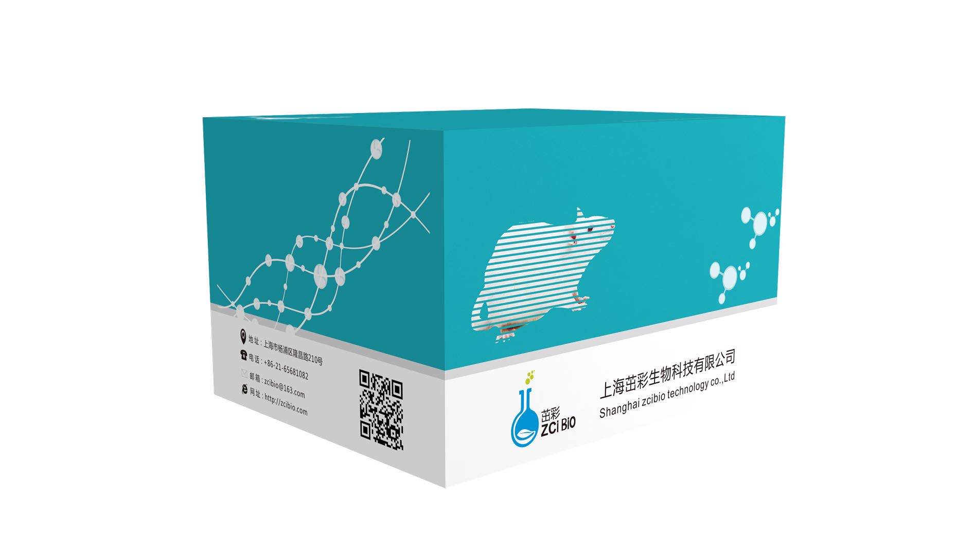 二磷酸核酮糖羧化酶/加氧酶（Rubisco）检测试剂盒