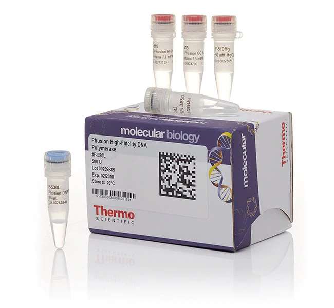 [f530s]phusion high-fidelity dna polymerase (2 u/l)