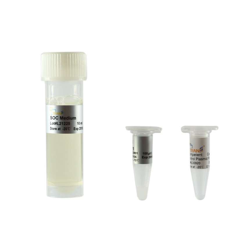 BL21 Chemically Competent Cell
