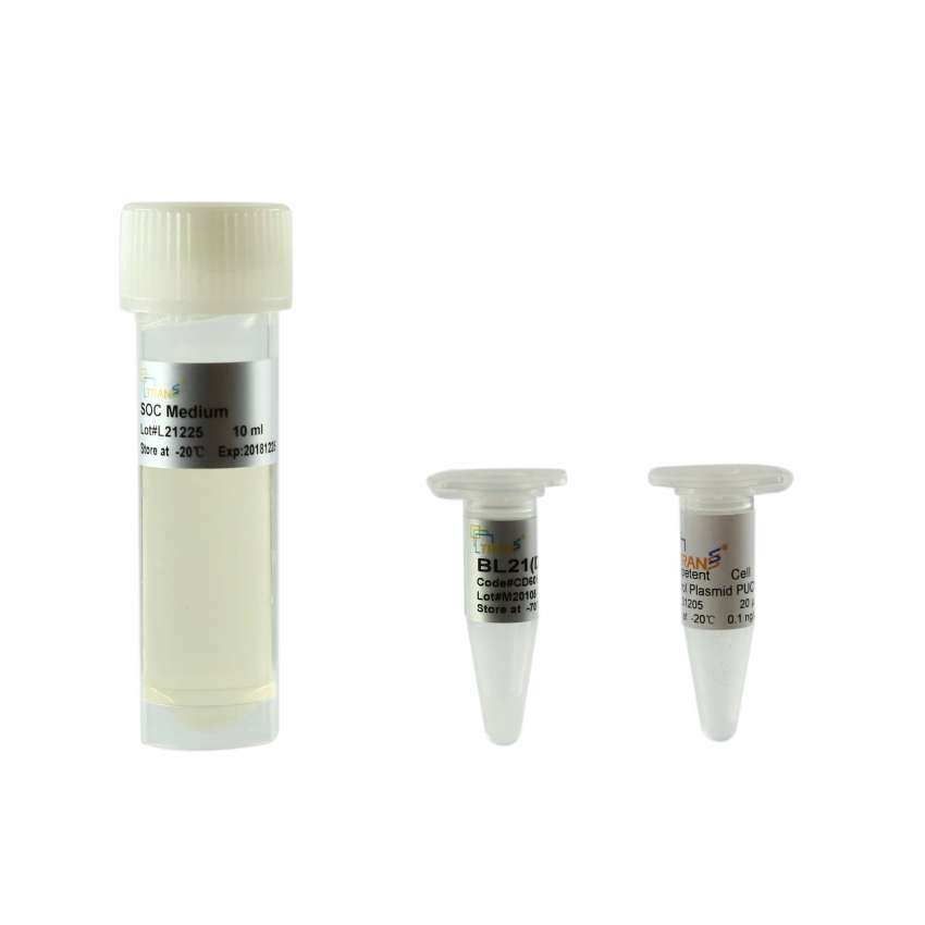 BL21(DE3) Chemically Competent Cell