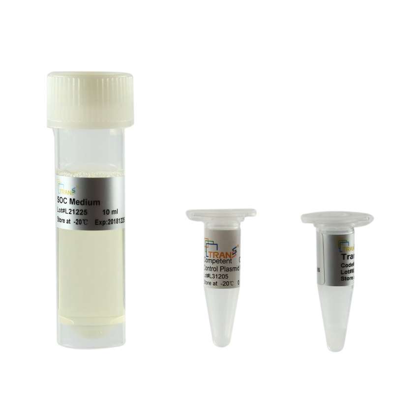 TransB(DE3) Chemically Comptent Cell