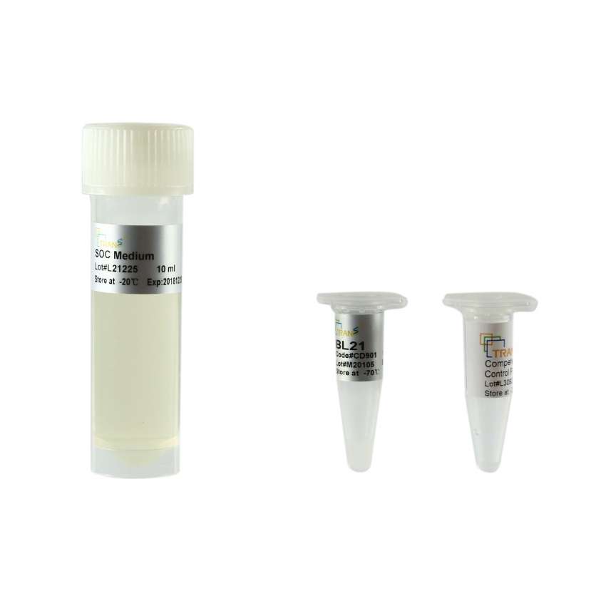 BL21 Chemically Competent Cell