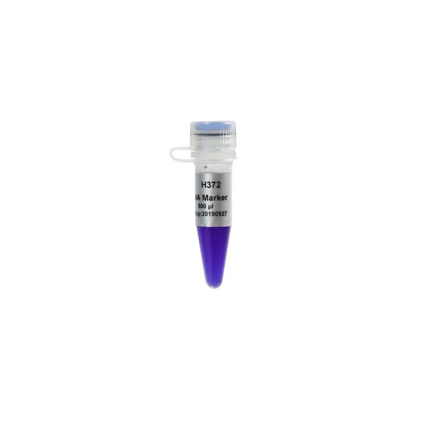 Trans15K DNA Marker
