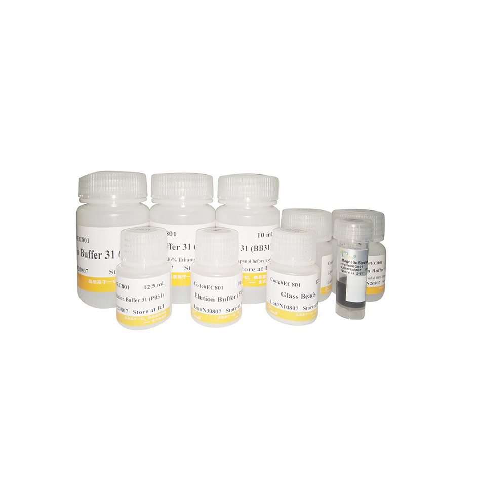 MagicPure Stool and Soil Genomic DNA Kit