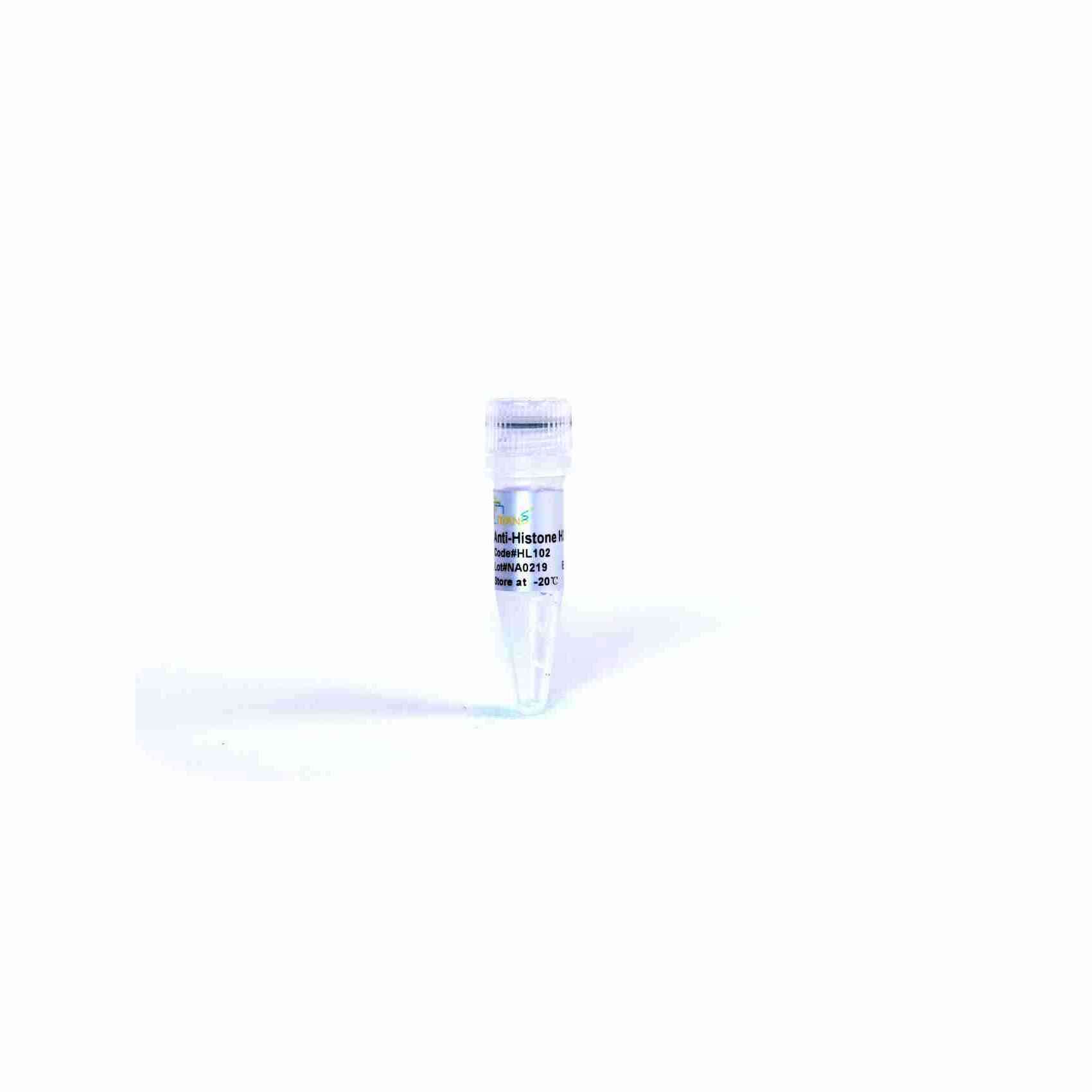 ProteinFind® Anti-Histone H3 Mouse Monoclonal Antibody