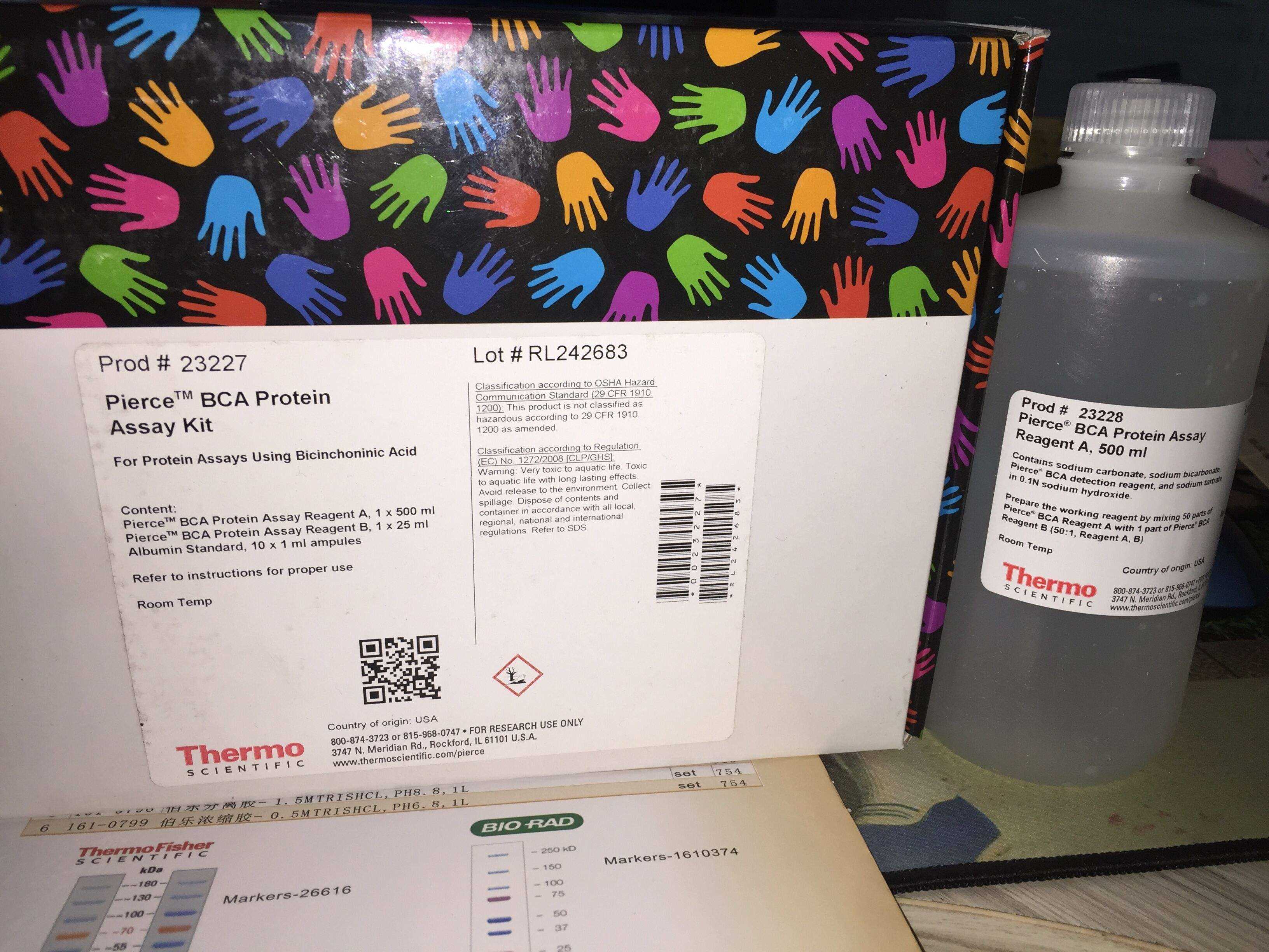 serotonin receptor 2c