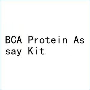 bca protein assay kit
