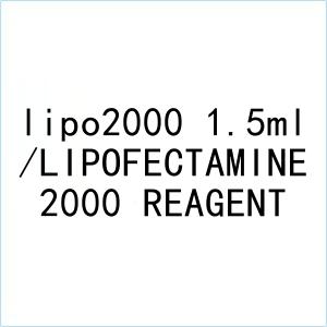 5ml/lipofectamine 2000 reagent