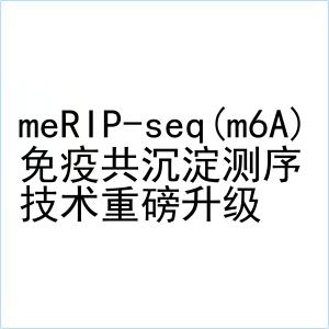 meRIP-seq测序服务