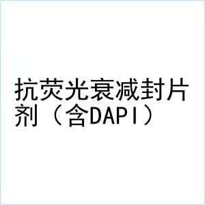 抗荧光衰减封片剂(含dapi)