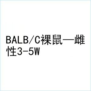 货号:126747 规格 雌性3-5w 计量单位:只 品牌:北京华阜康(经销)