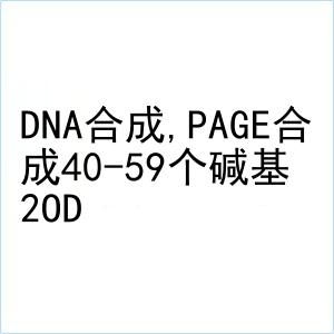 DNA合成,PAGE合成40-59个碱基 2OD