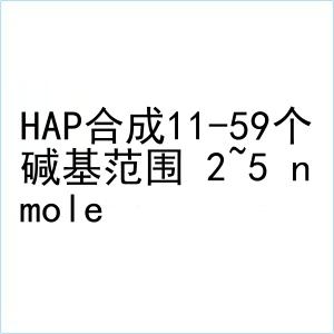 HAP合成11-59个碱基范围 2~5 nmole