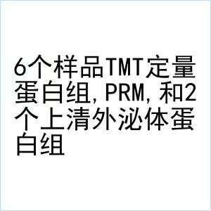 6个样品TMT定量蛋白组,PRM,和2个上清外泌体蛋白组