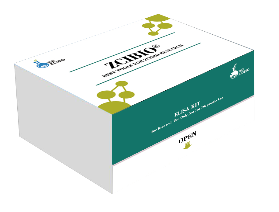 人金属肽酶含血小板反应蛋白4(ADAMTS4) ELISA试剂盒