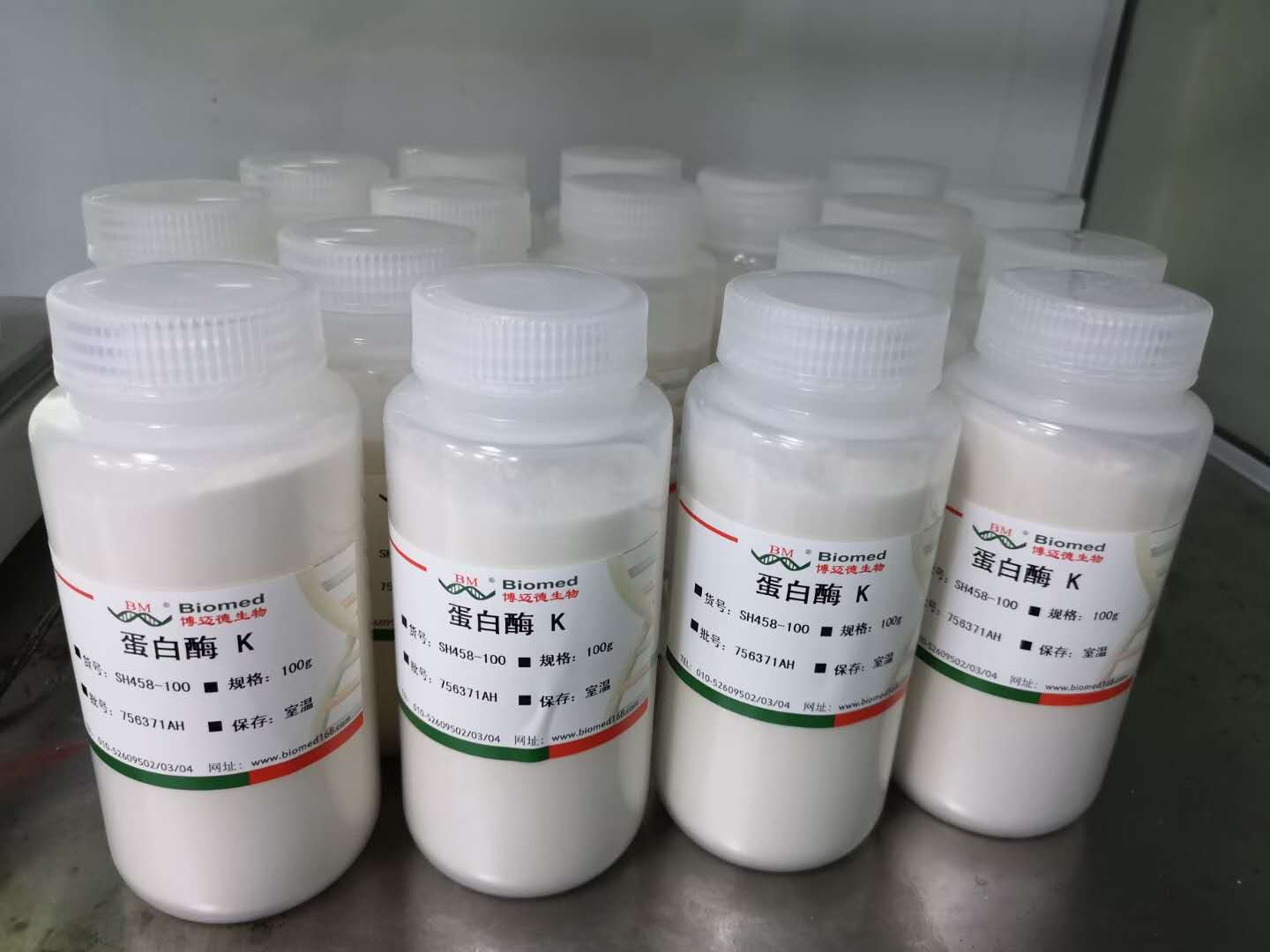 proteinase k(蛋白酶k)乾粉