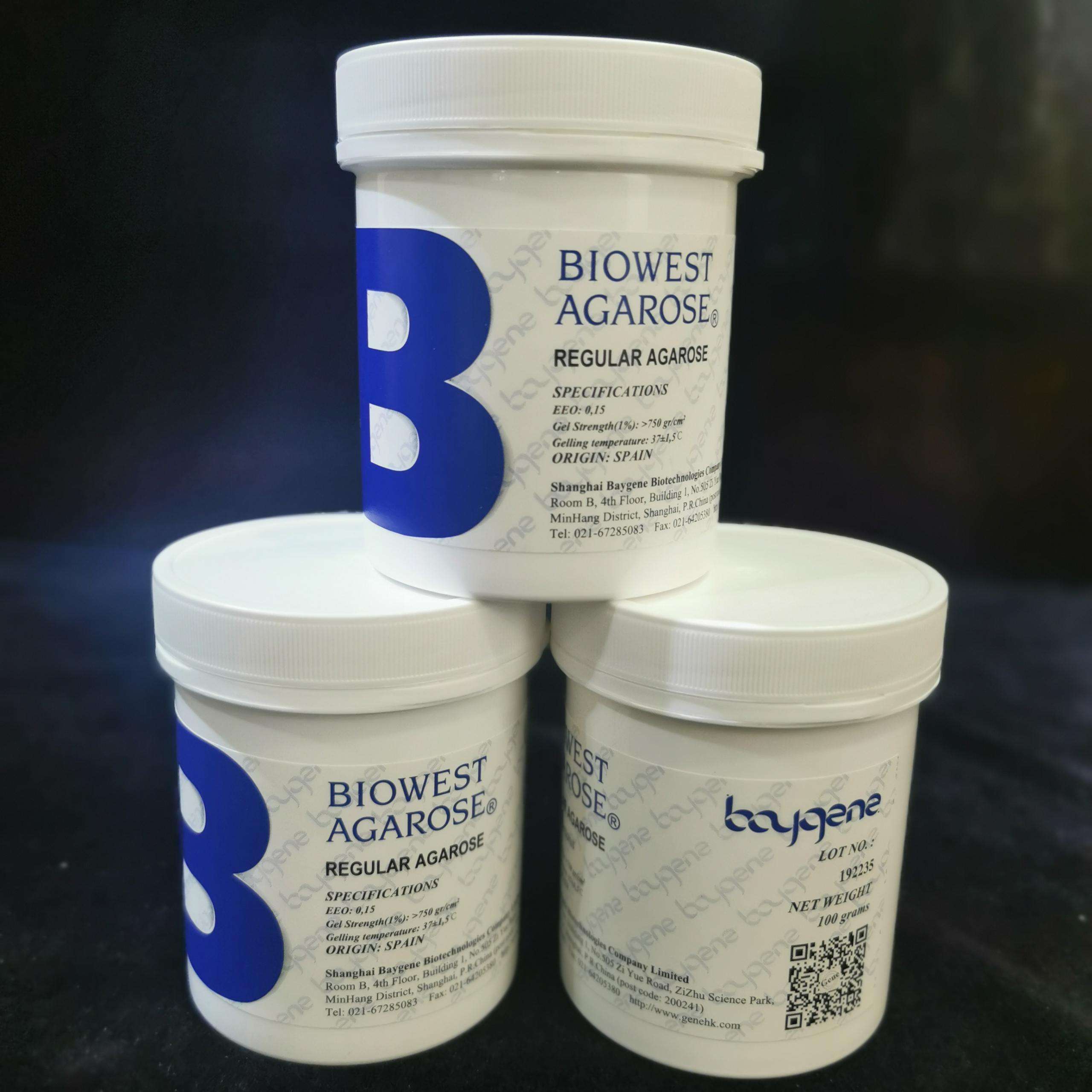 西班牙琼脂糖regular agarose g-10, 100 gram per bottle