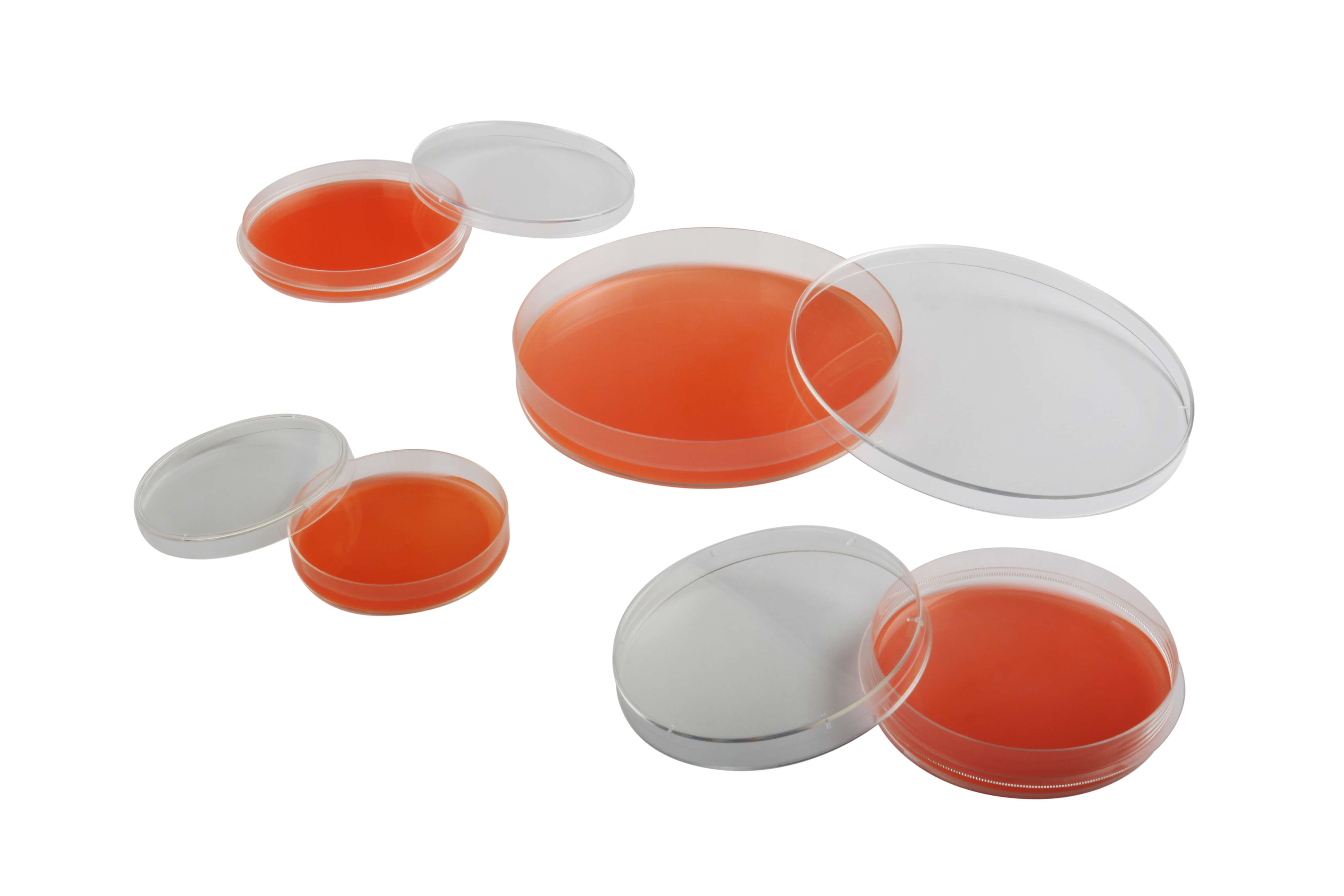 一次性细菌培养皿