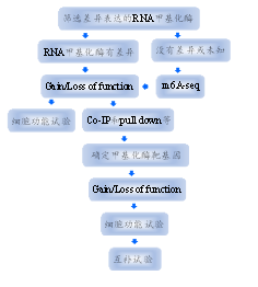 RNA甲基化相关课题套装