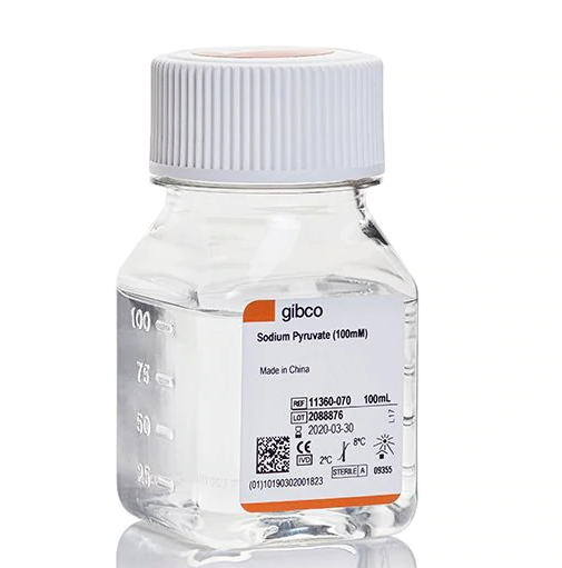 丙酮酸钠 (100 mm)