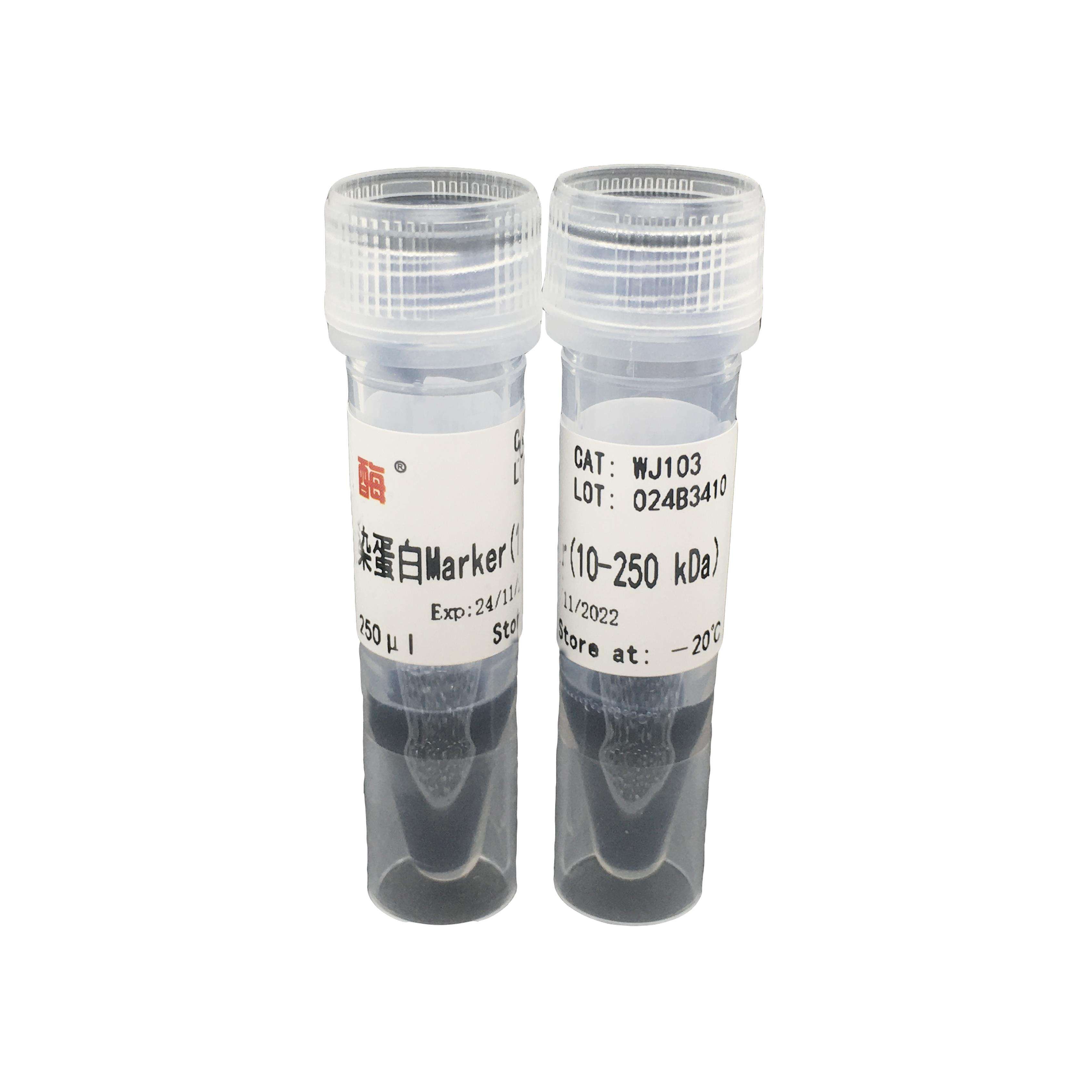 三色预染蛋白marker 10 kd~250 kd