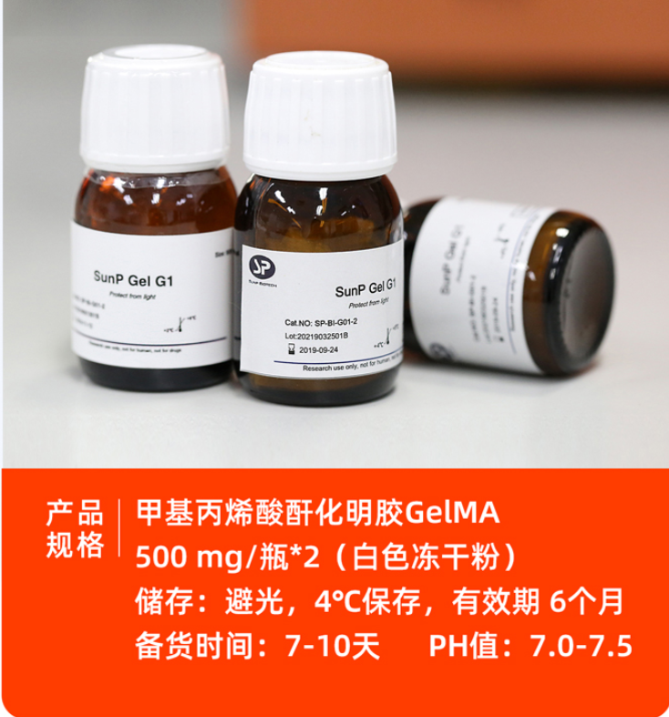 sunp gel g1取代度(80%-90%) 甲基丙烯酸酐化明胶(gelma)瓶装 lap