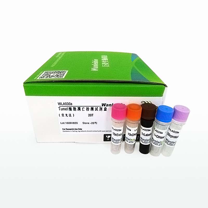 一步法tunel 细胞凋亡检测试剂盒(荧光法-绿光)