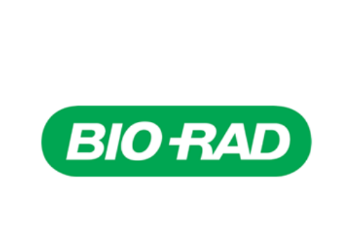 4-15% mp tgx gel 15w 15 µl, pkg 10