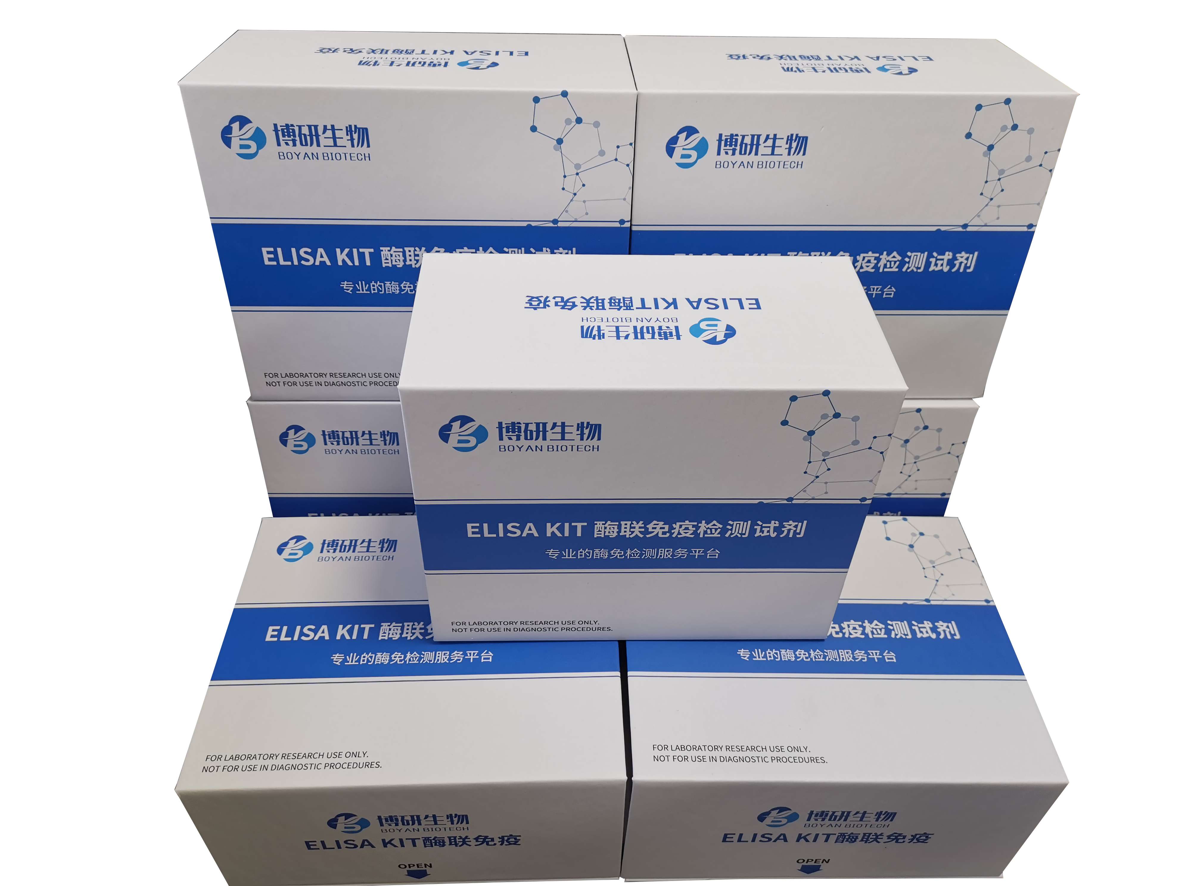 大鼠肿瘤坏死因子γ(tnf-γ)elisa试剂盒