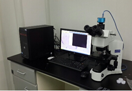 光学显微分析检测服务