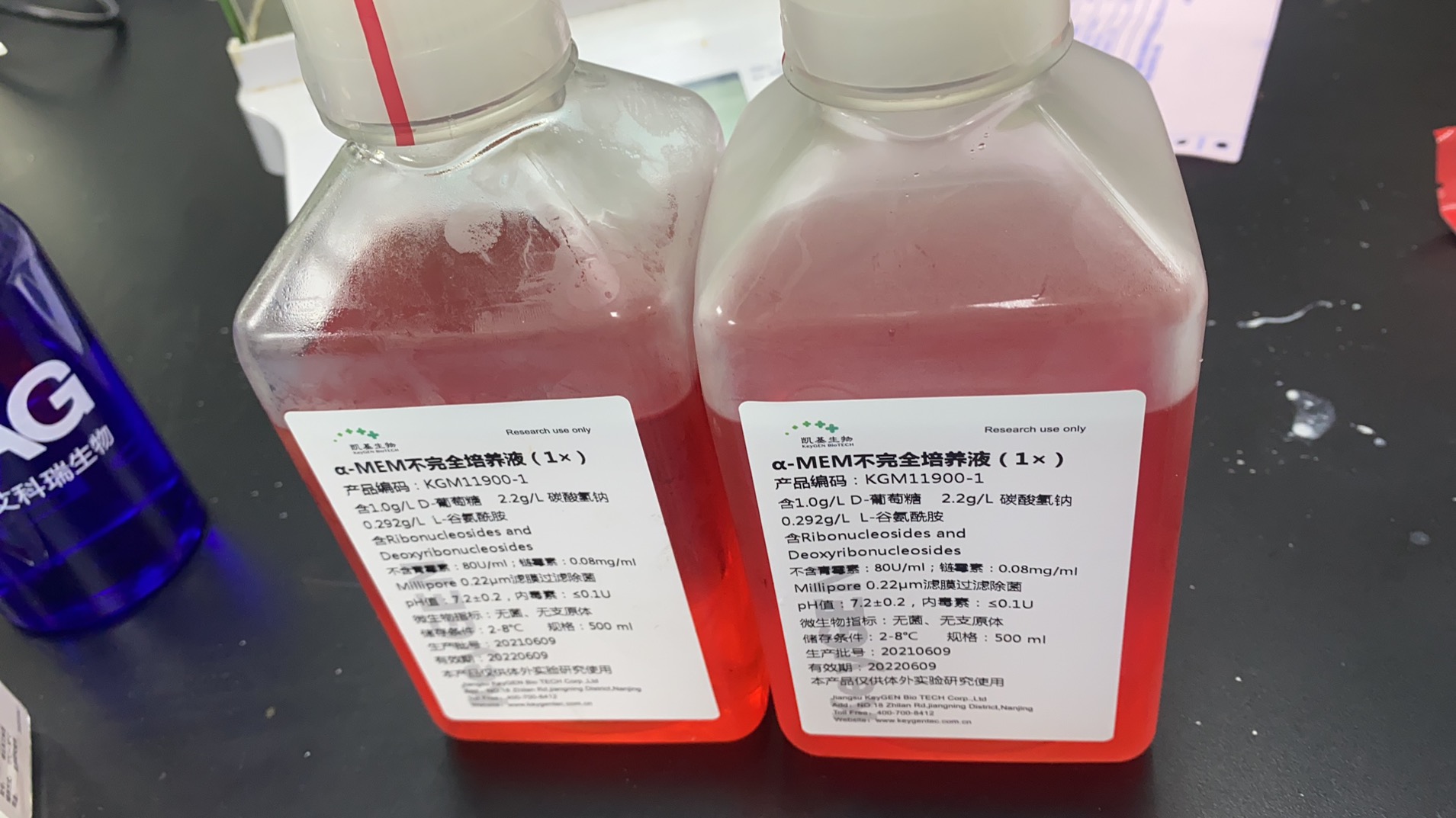 α-mem培养液(不含双抗)