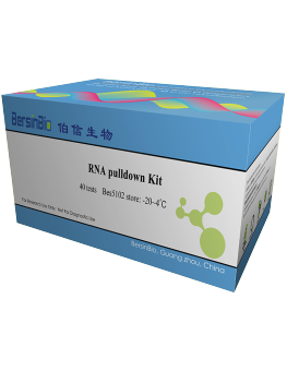 rna pulldown试剂盒