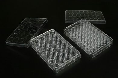 24孔板细胞培养板 (纸塑袋装)